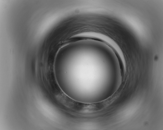 X0000091970382200709131344