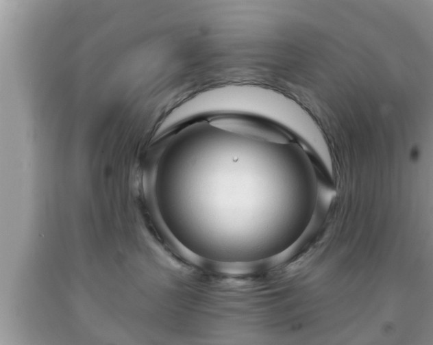 X0000091970383200709131344