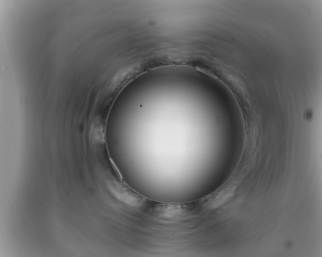 X0000091970384200709131344