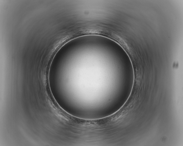 X0000091970386200709131343