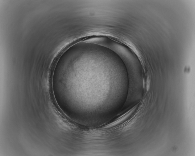 X0000091970387200709131343