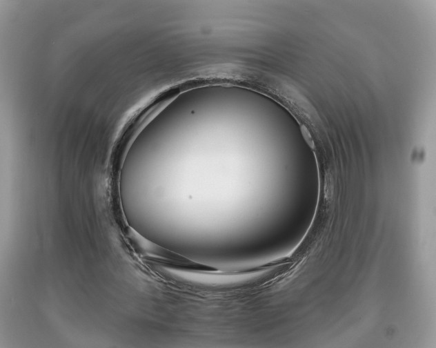 X0000091970388200709131343