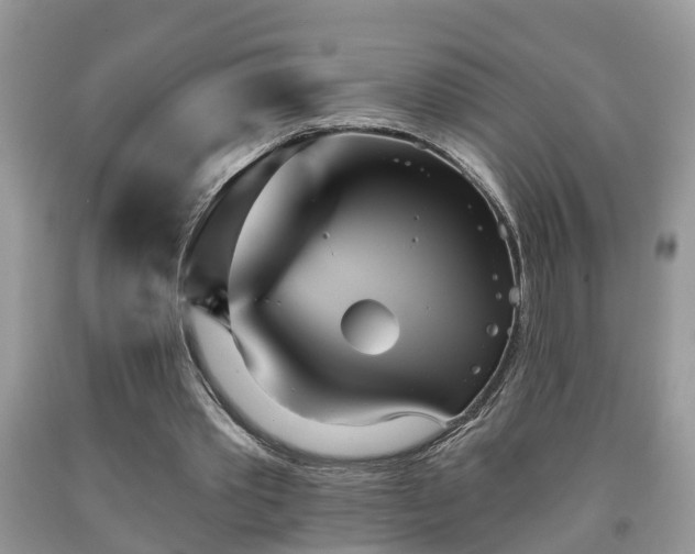 X0000091970389200709131343