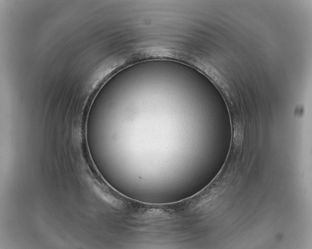 X0000091970390200709131343
