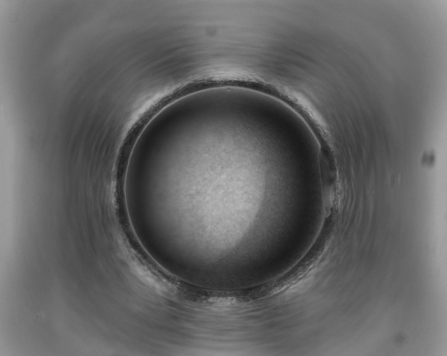 X0000091970391200709131343