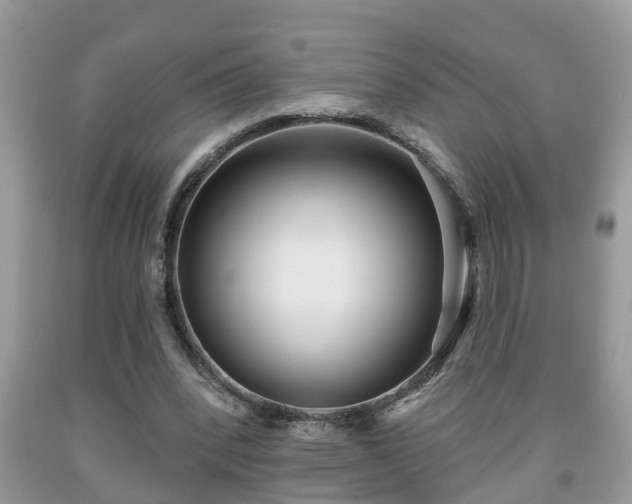 X0000091970392200709131343