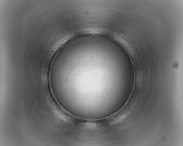 X0000091970394200709131343