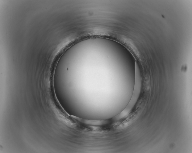 X0000091970395200709131343
