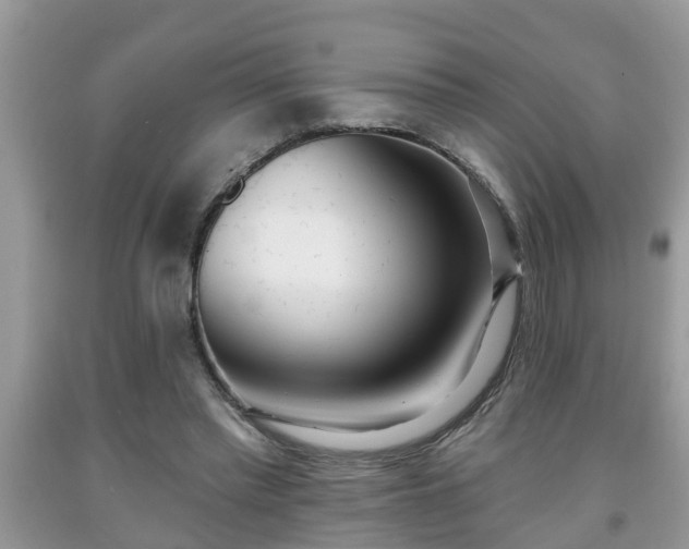 X0000091970397200709131343