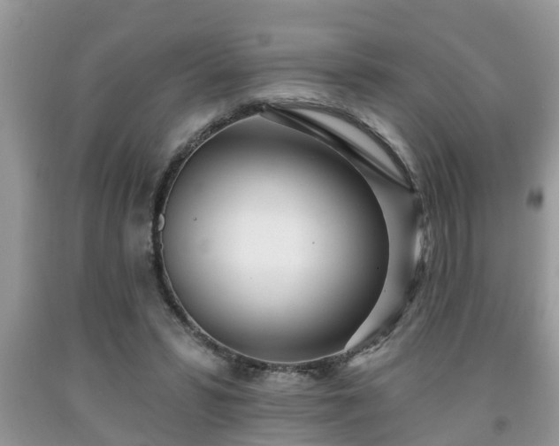 X0000091970399200709131343