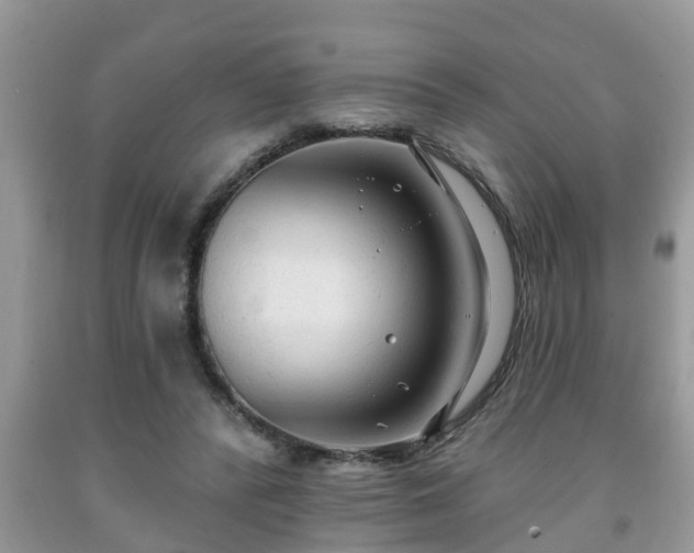 X0000091970400200709131343