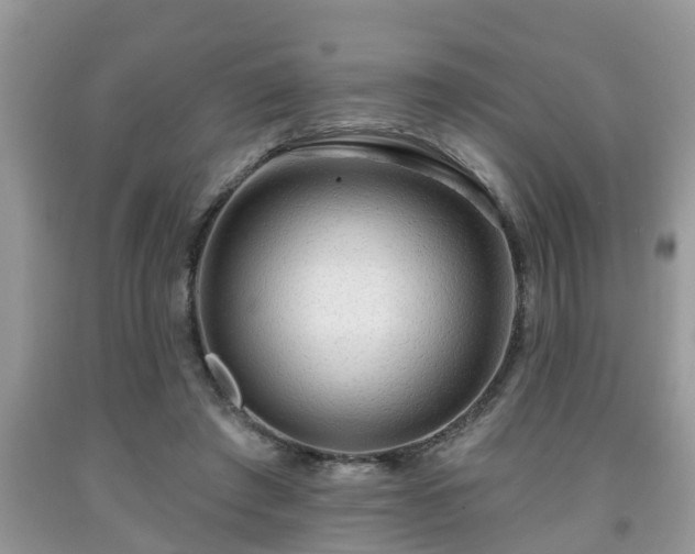 X0000091970401200709131343