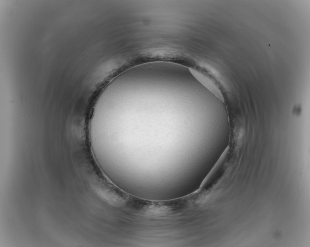 X0000091970403200709131342