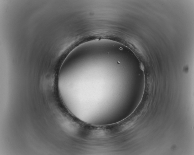 X0000091970404200709131342