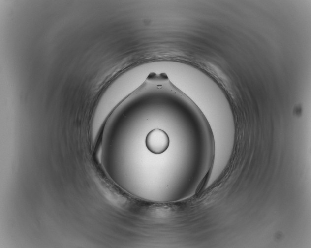 X0000091970405200709131342