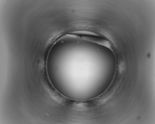 X0000091970407200709131342