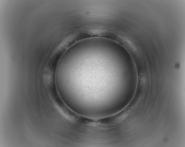 X0000091970408200709131342