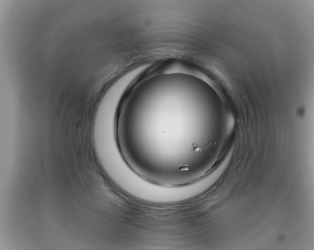 X0000091970411200709131342