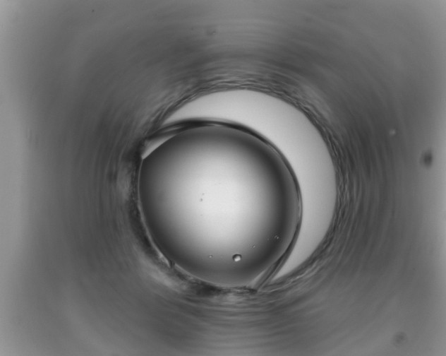 X0000091970412200709131342