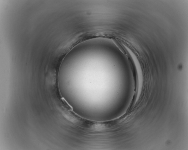 X0000091970413200709131342