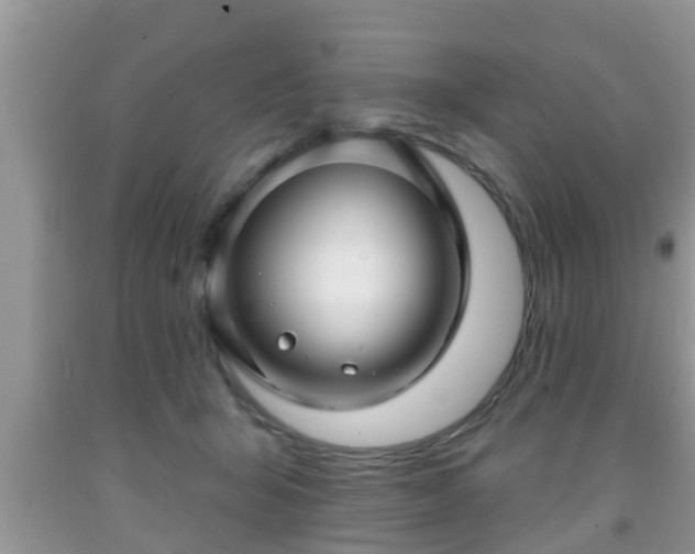 X0000091970415200709131342
