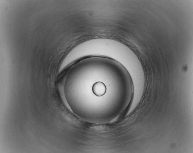 X0000091970417200709131342