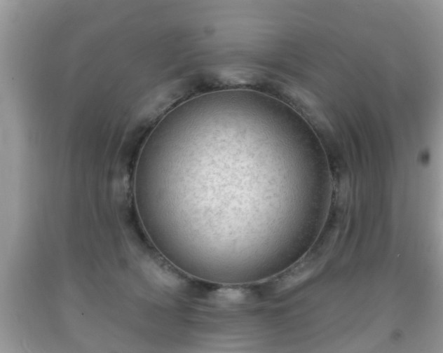X0000091970418200709131342