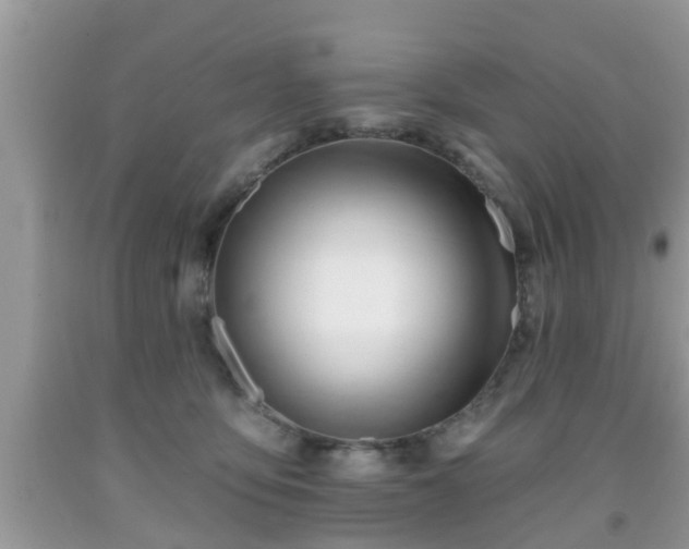 X0000091970419200709131342