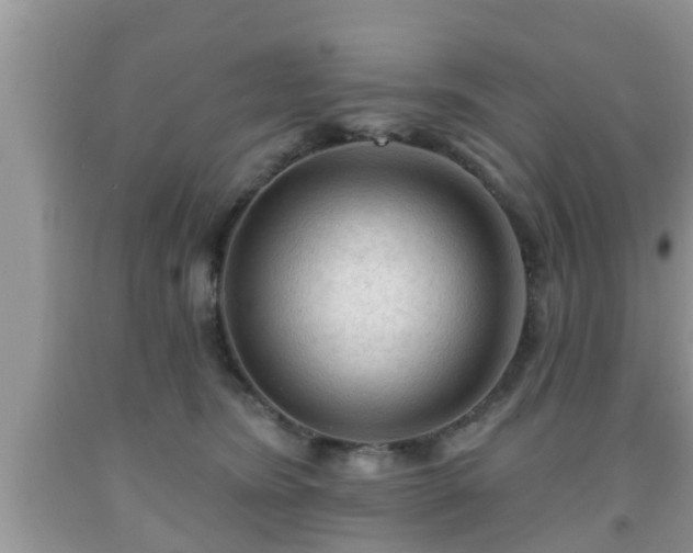 X0000091970420200709131342