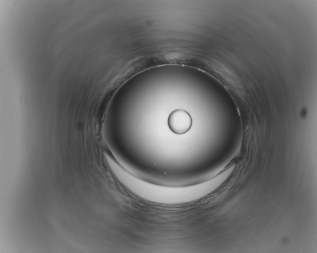 X0000091970421200709131342