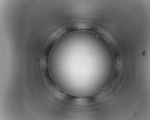 X0000091970422200709131342