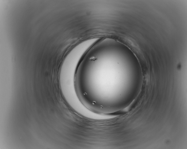 X0000091970423200709131342
