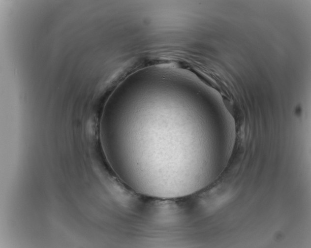 X0000091970424200709131342