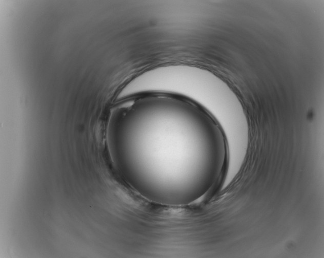 X0000091970428200709131342
