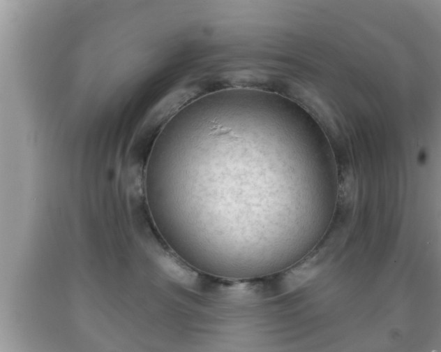 X0000091970430200709131342