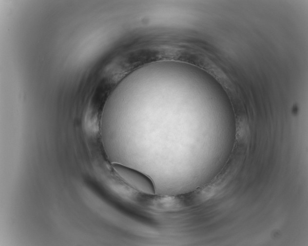 X0000091970431200709131342