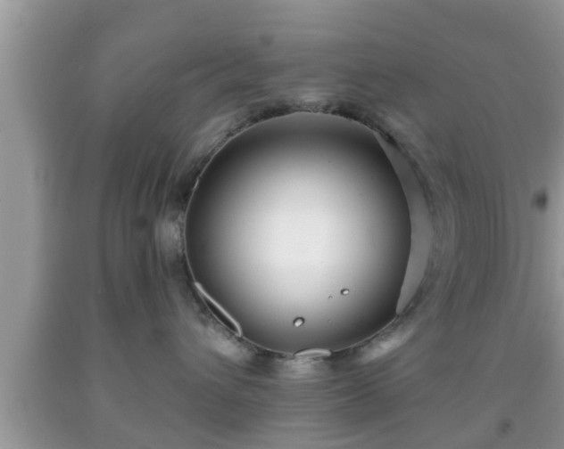 X0000091970432200709131342
