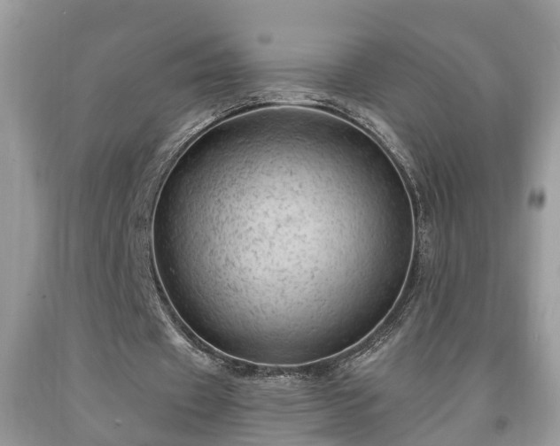 X0000091970433200709131342