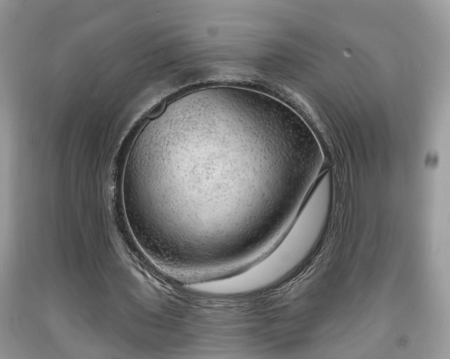 X0000091970435200709131342