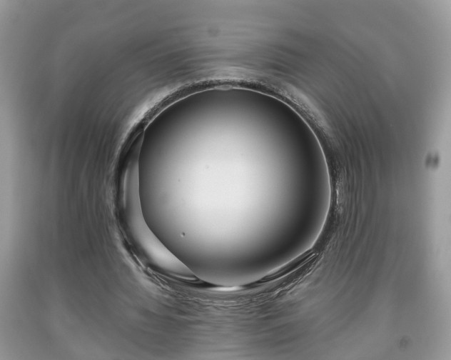 X0000091970436200709131342