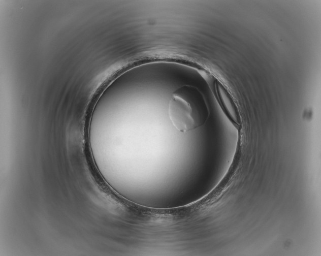 X0000091970438200709131342