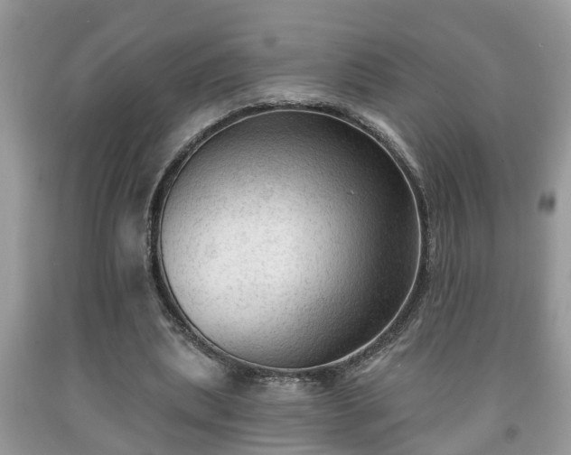 X0000091970439200709131342