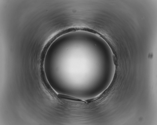 X0000091970440200709131342