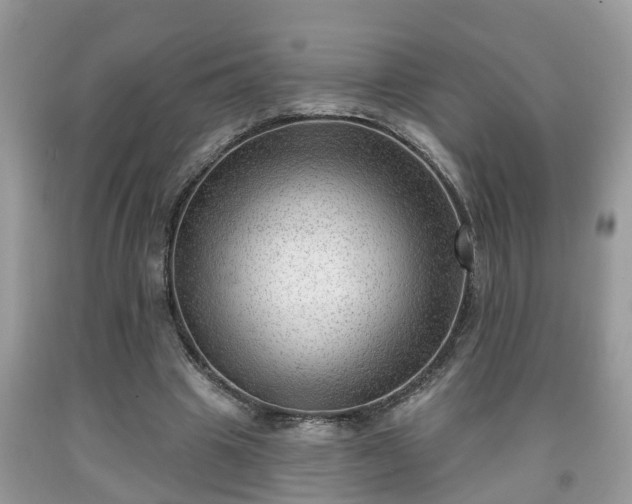 X0000091970441200709131342