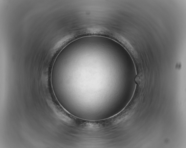X0000091970442200709131342