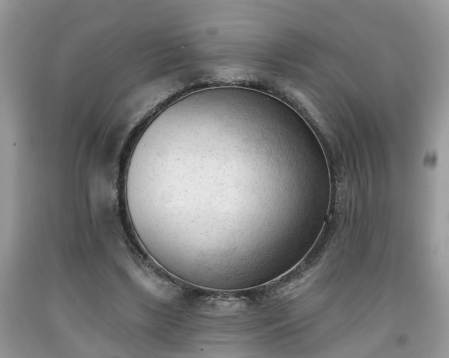 X0000091970443200709131342