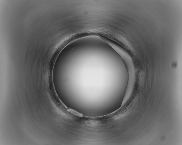X0000091970444200709131342