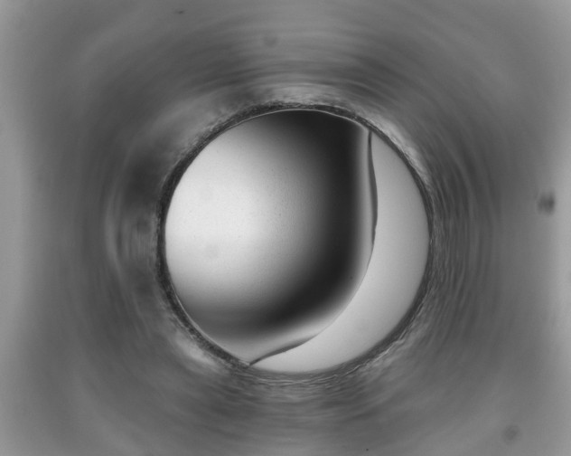 X0000091970445200709131342