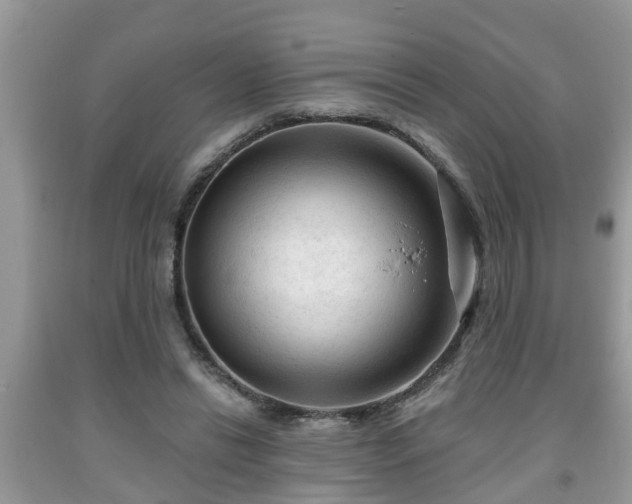 X0000091970446200709131342