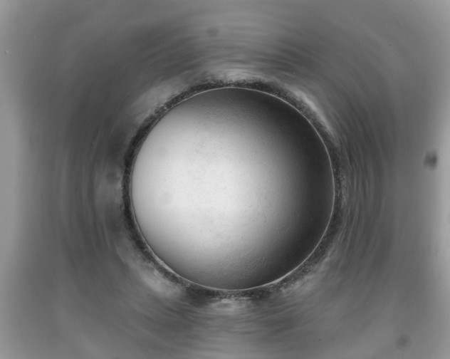 X0000091970447200709131342